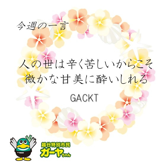 ～今週の一言～の画像