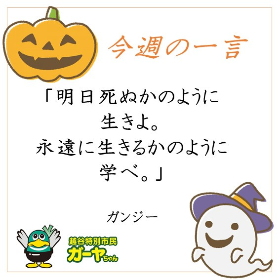 ～今週の一言～の画像