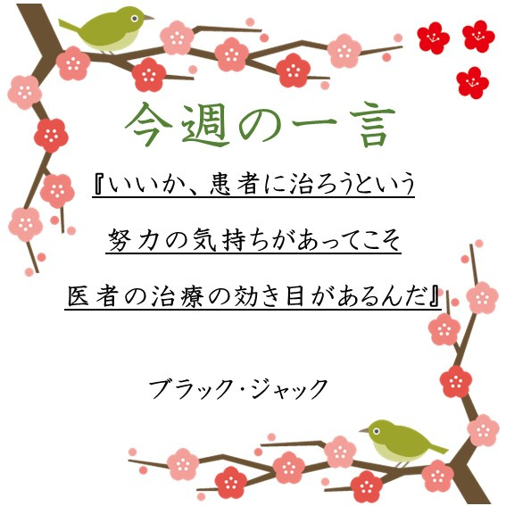 ～今週の一言～の画像