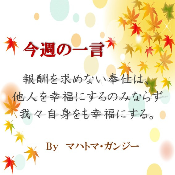 ～今週の一言～の画像