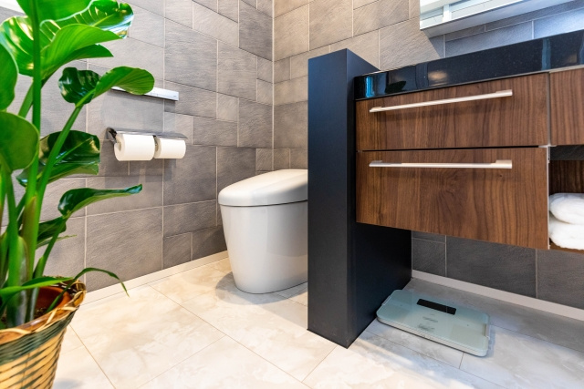 タンクレストイレとは