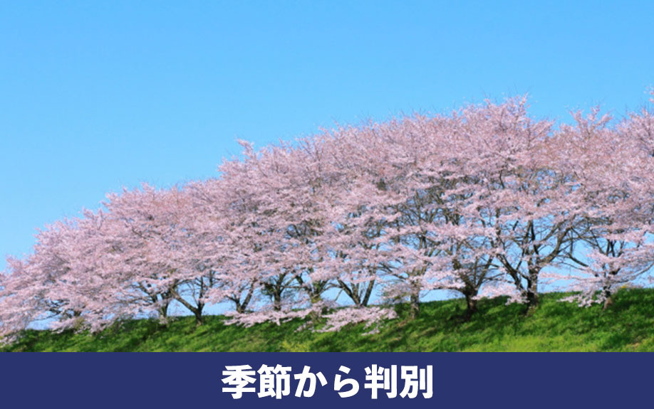 売れやすい時期がある！不動産売却のタイミングとなる季節から判別