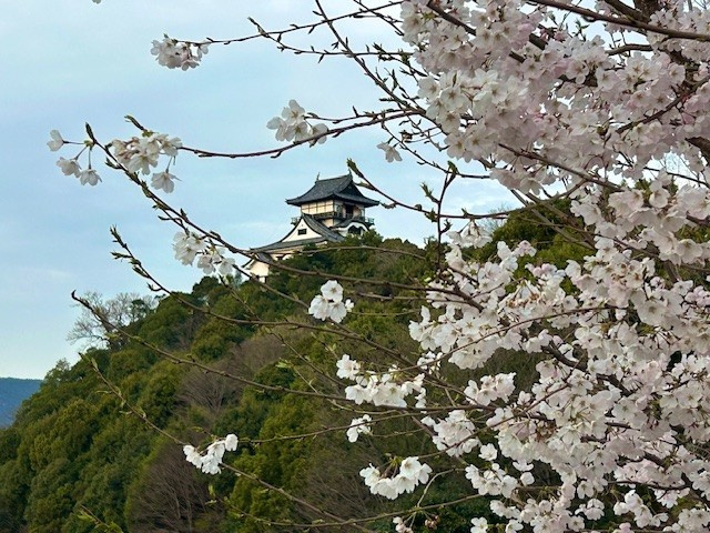 【あま市不動産売却】花見の画像