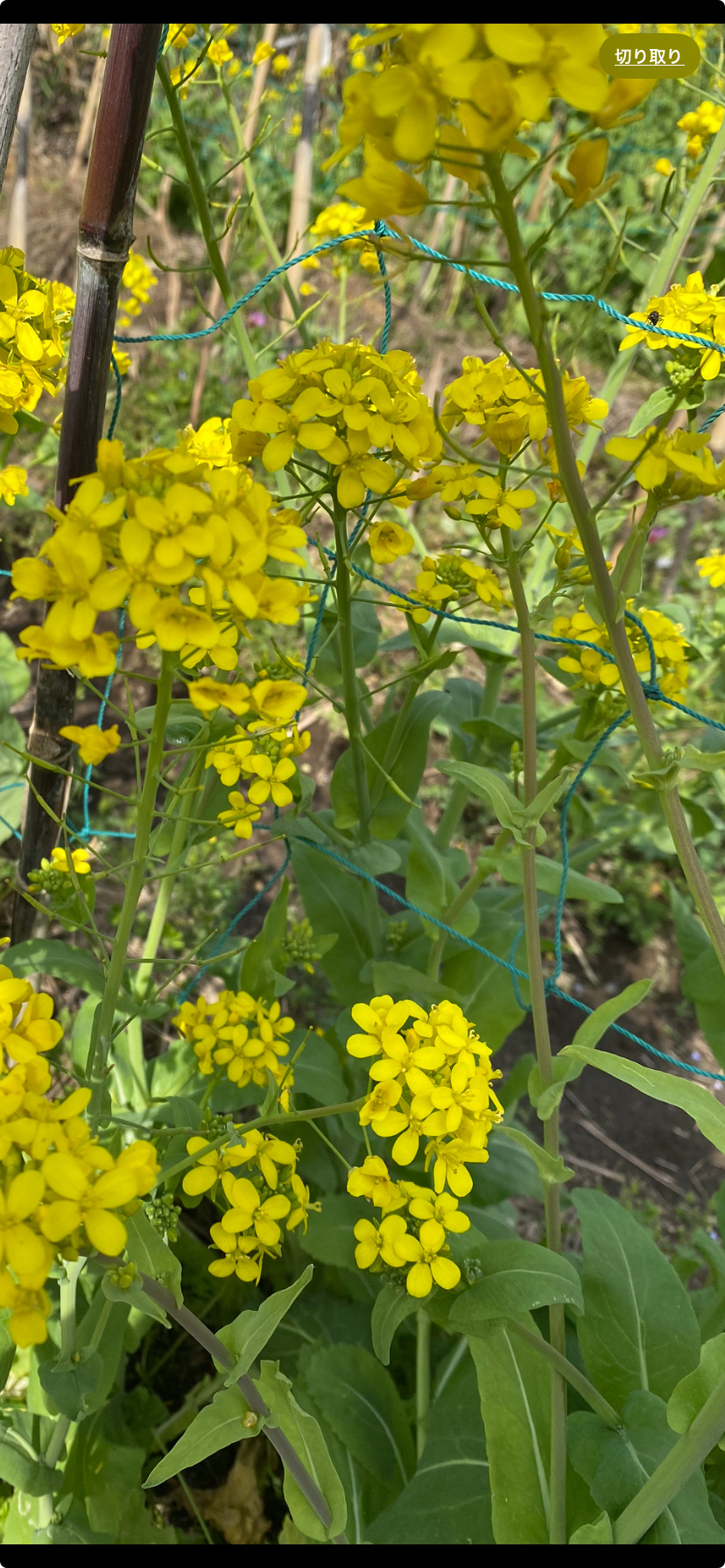 不動産売却で成功するには？事例をご紹介  の画像