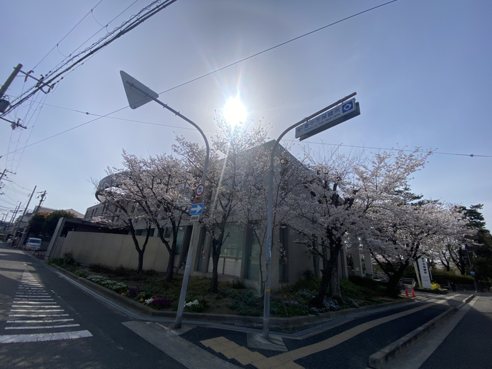 朝一zoomで打合せ途中でいっぱい電話かかってきましたの画像