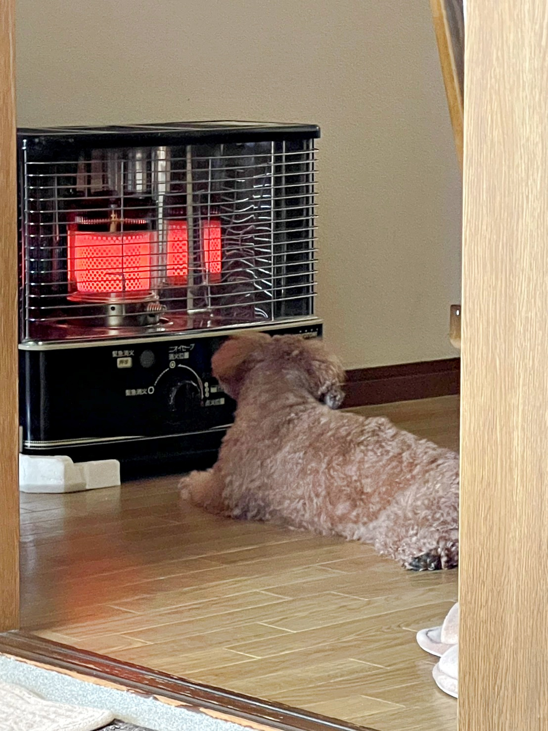 ある寒い冬の日・・・の画像