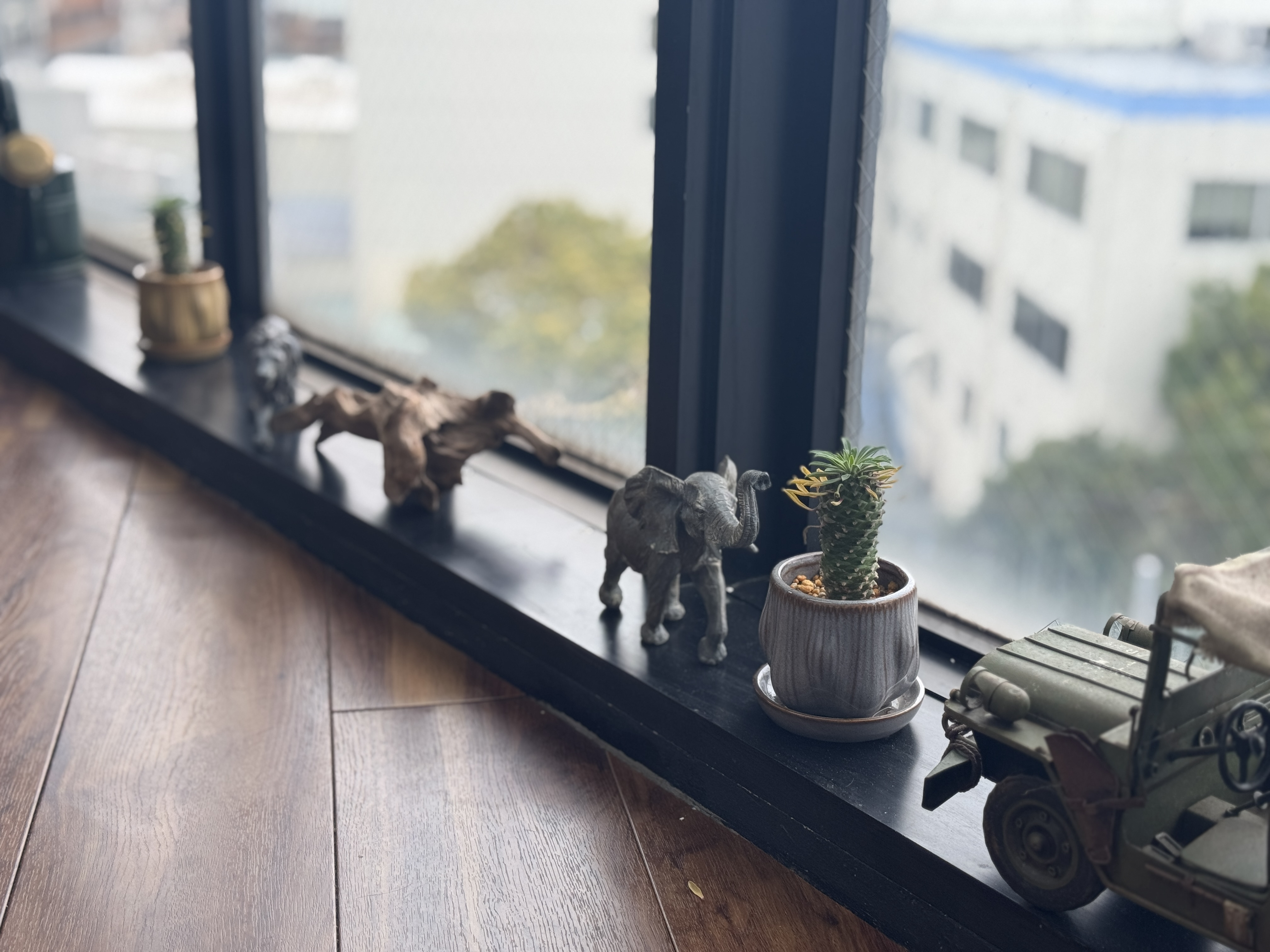 ～船堀店オープン～の画像