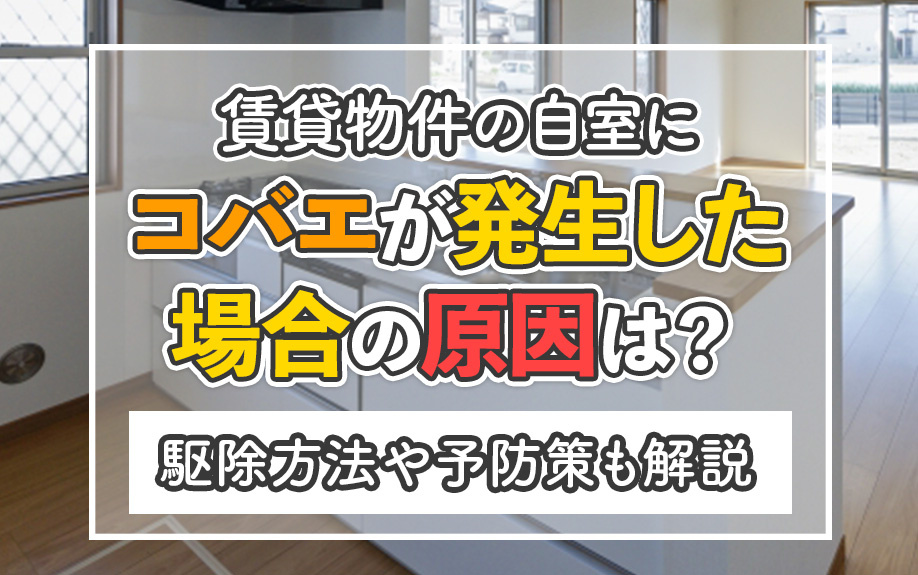 賃貸物件の自室にコバエが発生した場合の原因は？駆除方法や予防策も解説の画像
