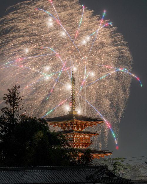 春の夜空に咲いた、思い出の花 ― 伏見南小学校 卒業記念花火大会の画像