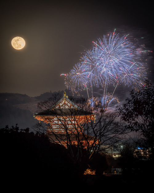 夜空に咲いた祝福の華 ― 奈良公園バースデー花火の画像