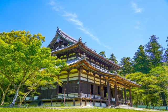 「根來寺」の概要