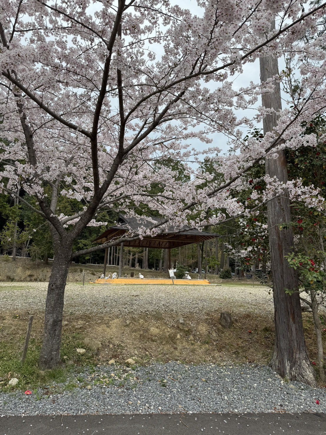 大原野の画像