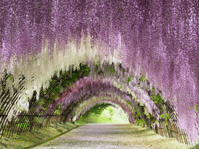 春から初夏へ｜4月〜5月におすすめのスキンケア術【ゆらぎ肌・紫外線対策にも◎】の画像