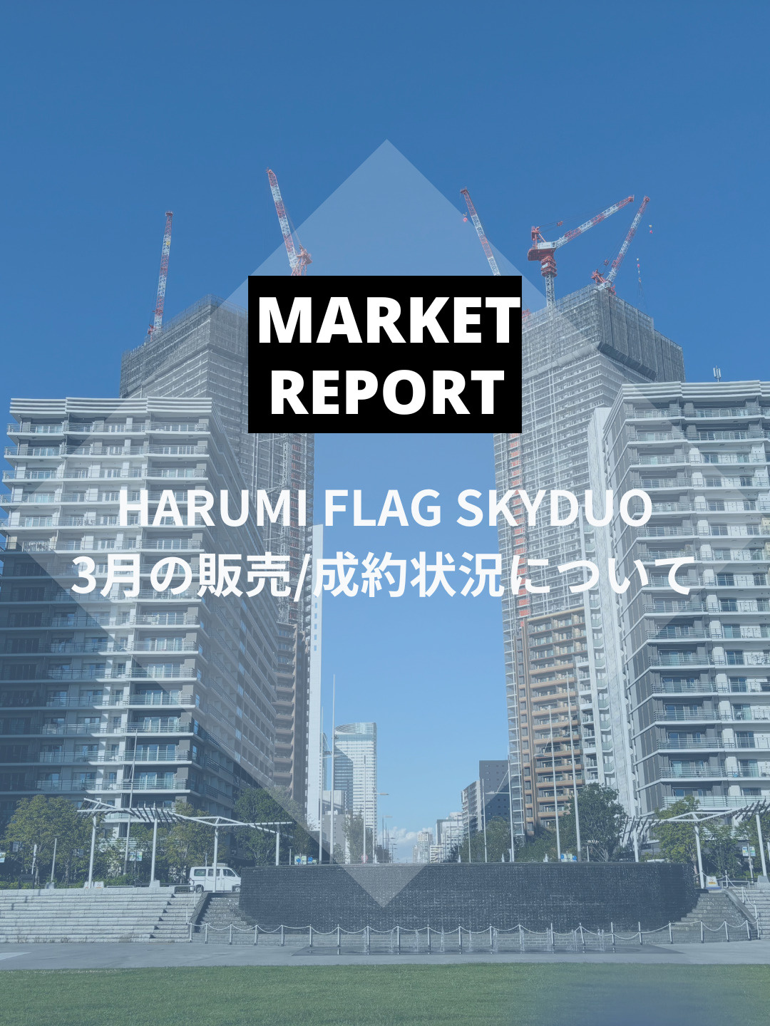 SKY DUO 2025年3月の販売・成約動向の画像