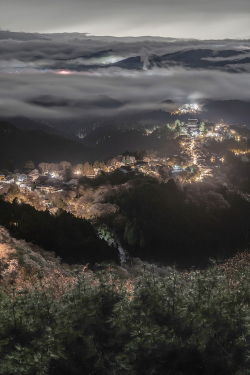吉野山、桜の海に染まる春の奇跡の画像