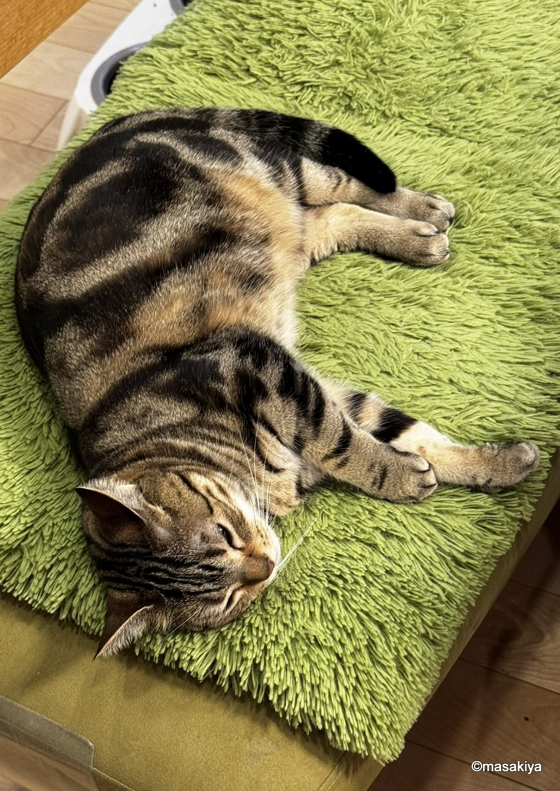 アイアンマンの画像