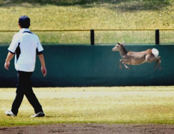 そんなことあります？？？の画像