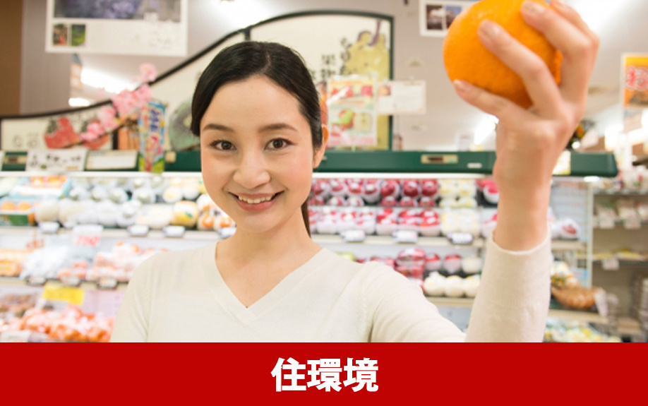 練馬駅周辺の住みやすさ（2）住環境