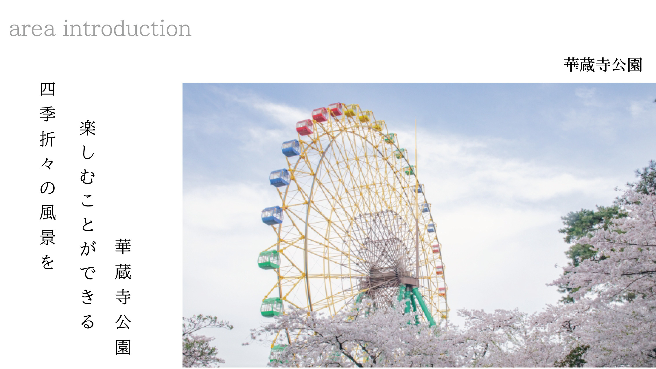 群馬の絶景スポット！伊勢崎市 華蔵寺公園で春を楽しむ方法の画像