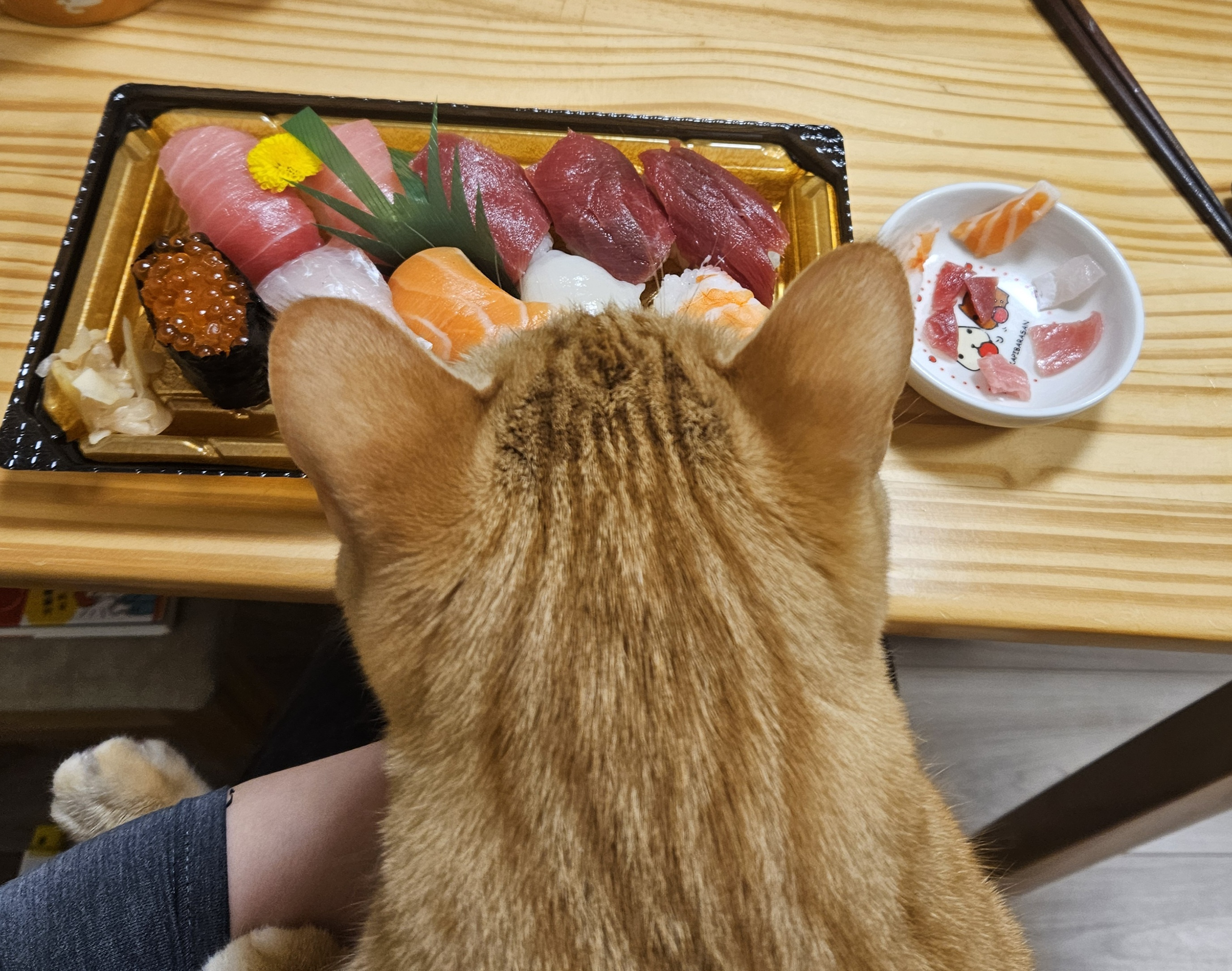 近況報告の画像