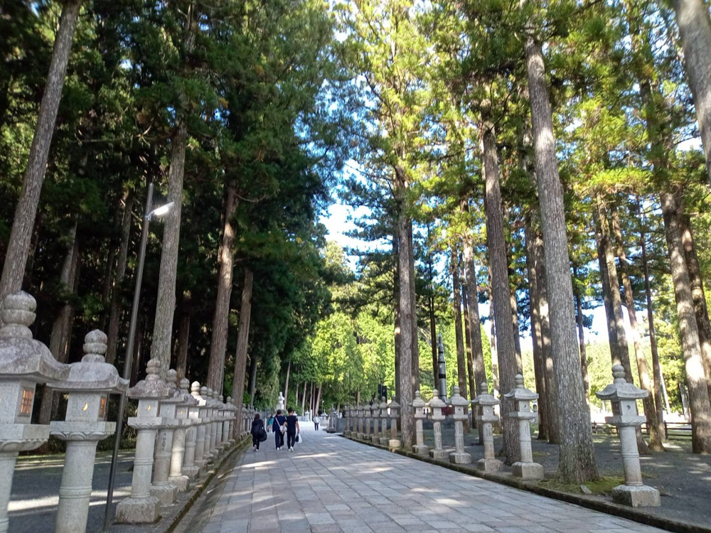 ※削除不可※　西森 萌　スタッフ詳細用の画像