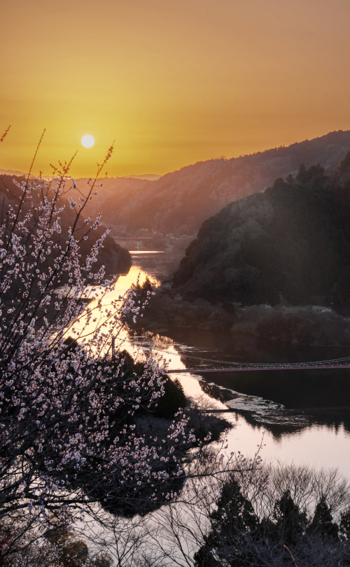 春の風が香る渓谷の楽園 ― 奈良・月ヶ瀬梅林で過ごす至福のひとときの画像