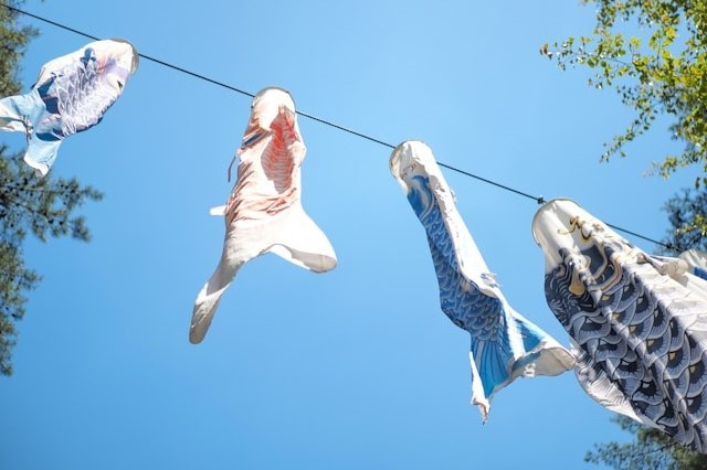 庭の鯉のぼりポール設置について！注意点や片付けの方法もを解説