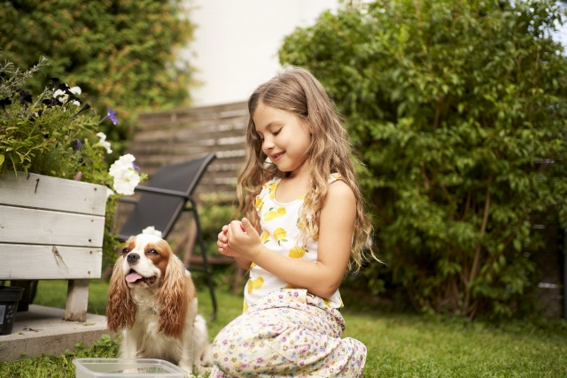 下野市で庭付き家のメリットは？購入時の考慮点をご紹介の画像