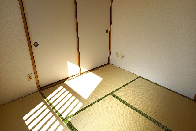 シバンムシとは？駆除にあたっての基本