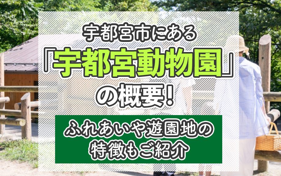 宇都宮市にある「宇都宮動物園」の概要！ふれあいや遊園地の特徴もご紹介