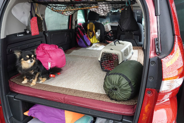 日ごろからペットにしておきたい災害時の備え