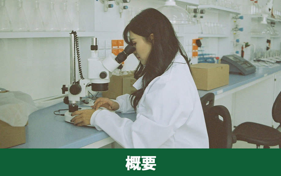 生駒市にある「奈良先端科学技術大学院大学」の概要