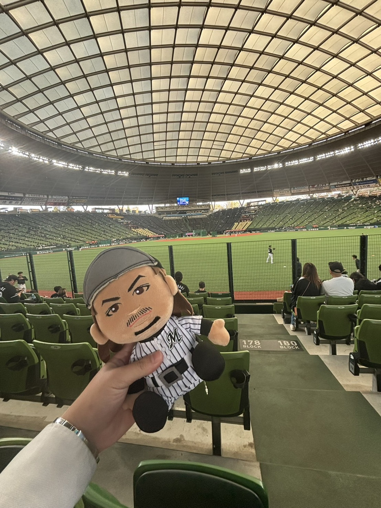 頑張れマリーンズ16の画像