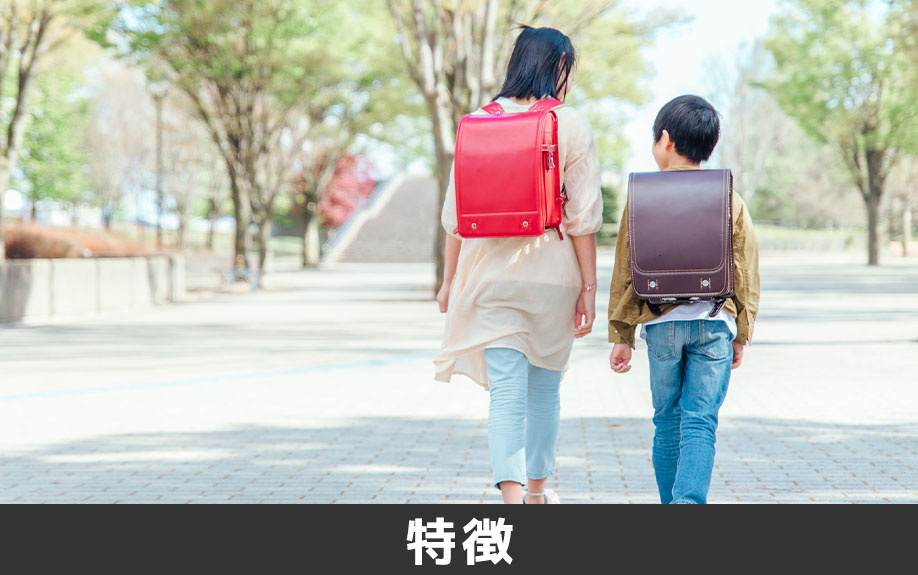 菊池郡菊陽町にある菊陽町立菊陽西小学校の特徴