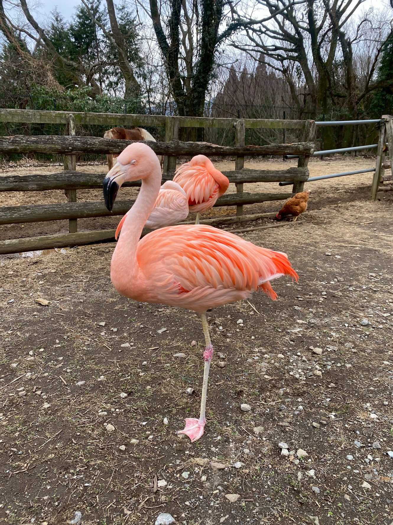 不動産売却の期間はどれくらいか？迅速な売却ポイントを解説の画像