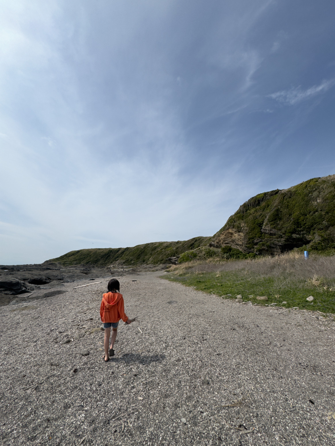 久しぶりの城ヶ島の画像