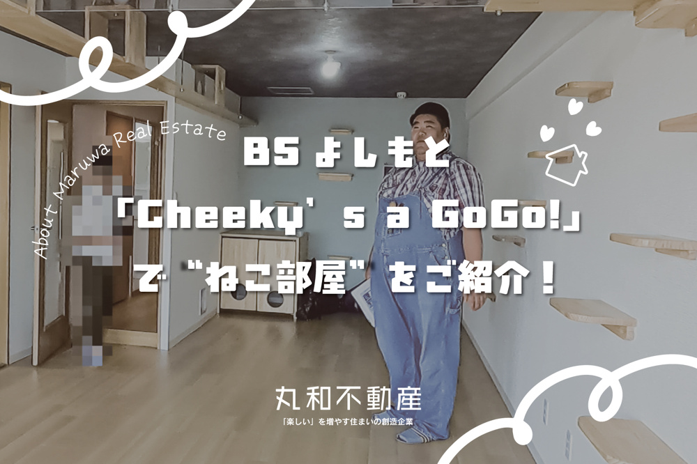 BSよしもと「Cheeky’s a GoGo!」で奈良の“猫部屋”物件をご紹介！の画像