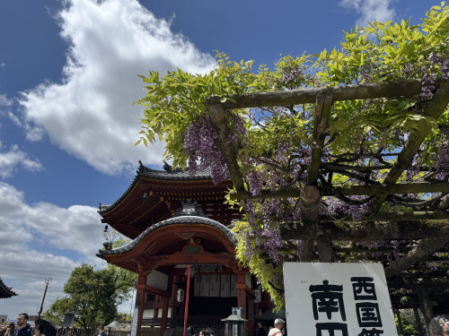 興福寺南円堂で出会う、優雅で静謐な藤のしらべの画像