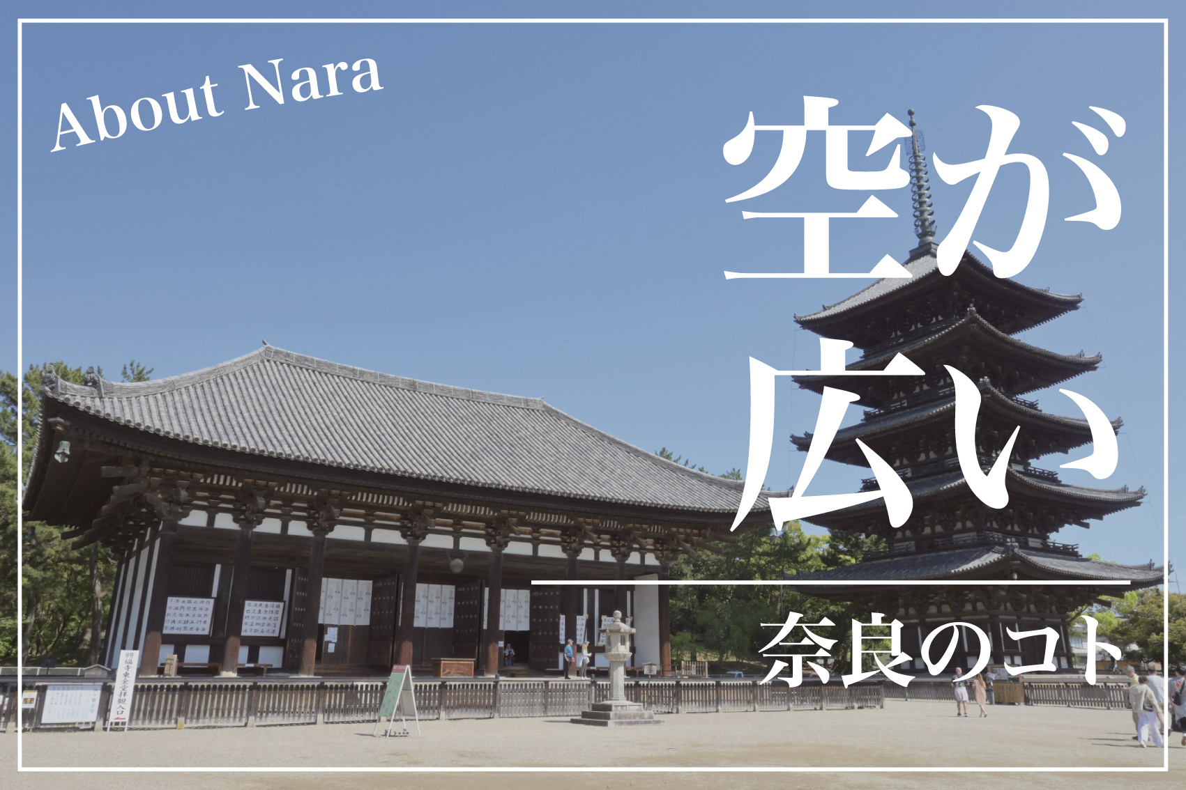 空が広くて気持ちいい理由の画像