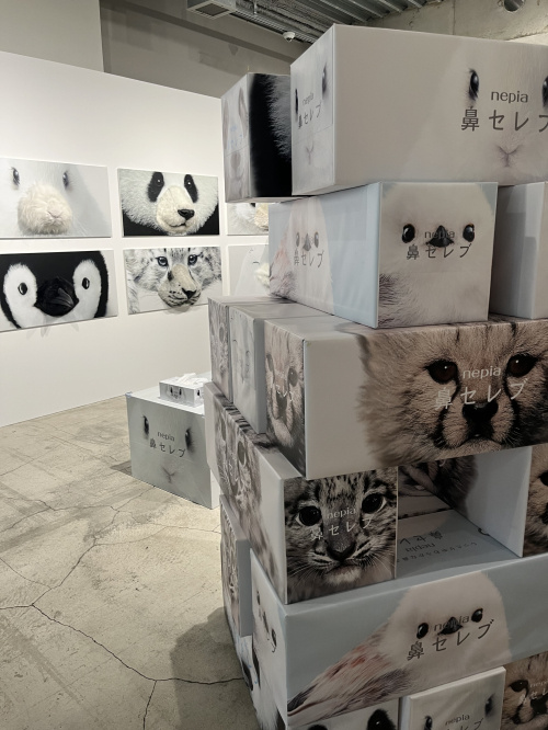 住宅売却で費用を節約するには？節約術をご紹介の画像