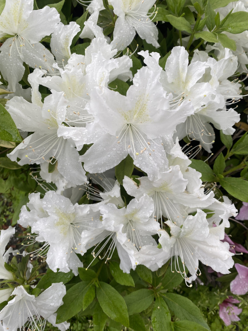 不動産売買の税金とは？基本事項を解説  住宅売却時の税金のポイントをご紹介の画像