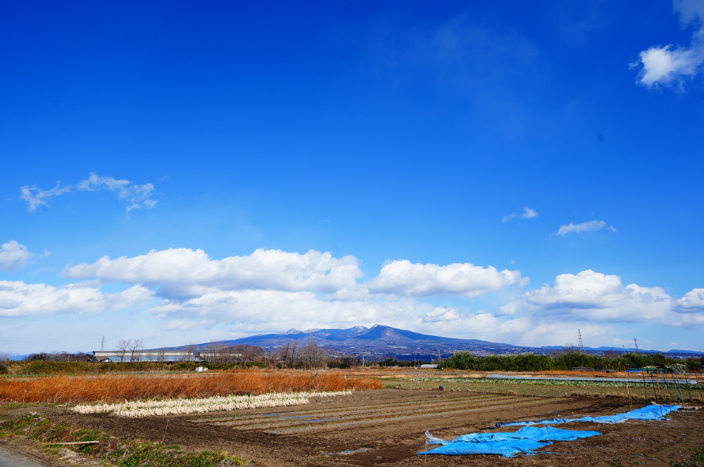 寄付についての画像