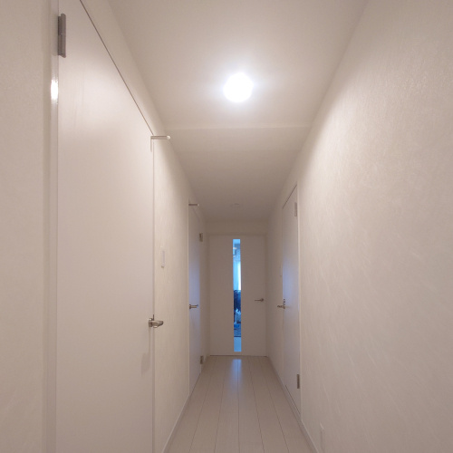 きらきらの画像