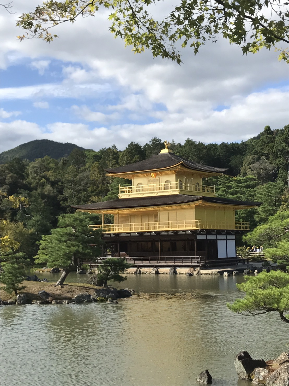 雅なる京、金閣を歩くの画像