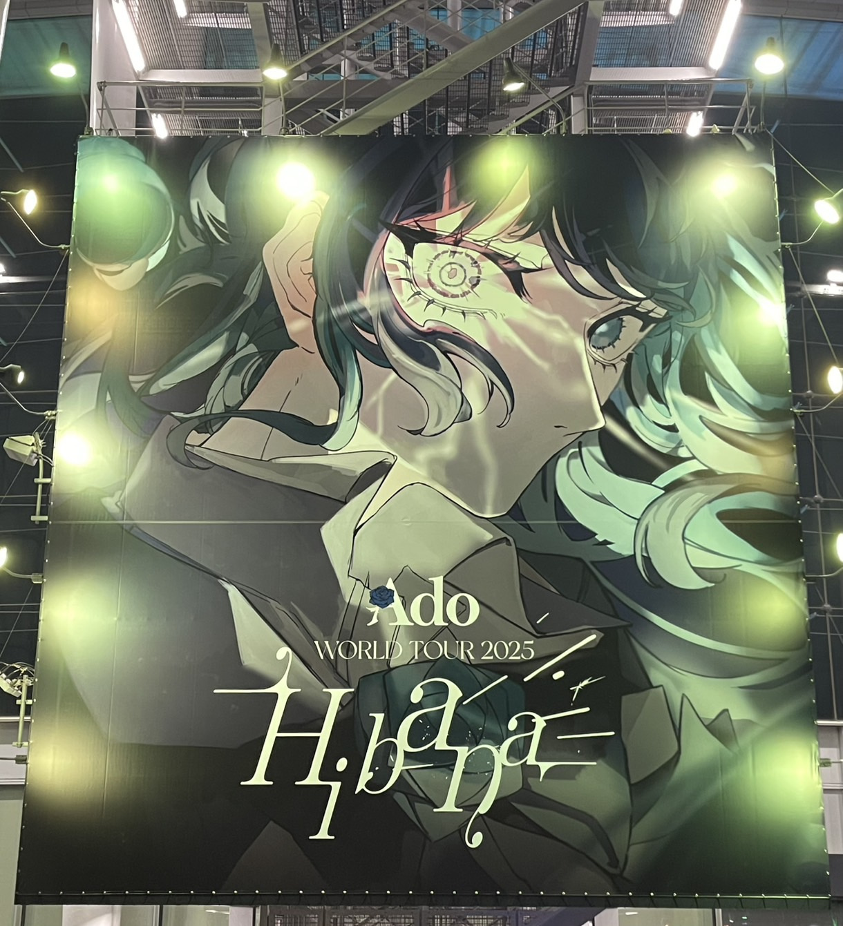 3回目・・・の画像