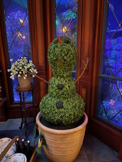 ディズニーシーの画像