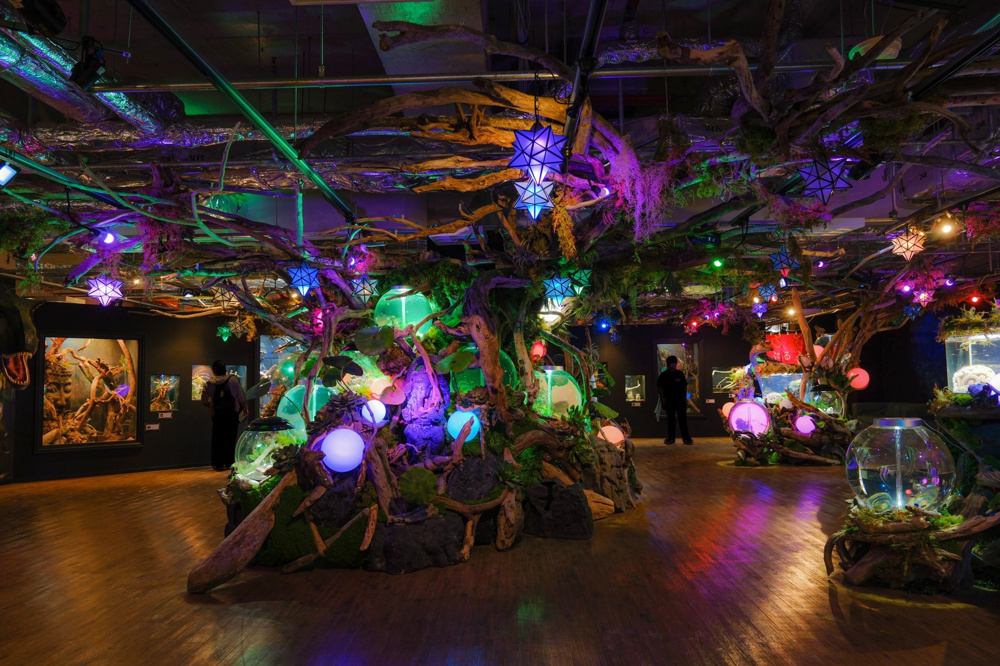 「IKIMONO MUSEUM」で、命のつながりを感じる一日の画像