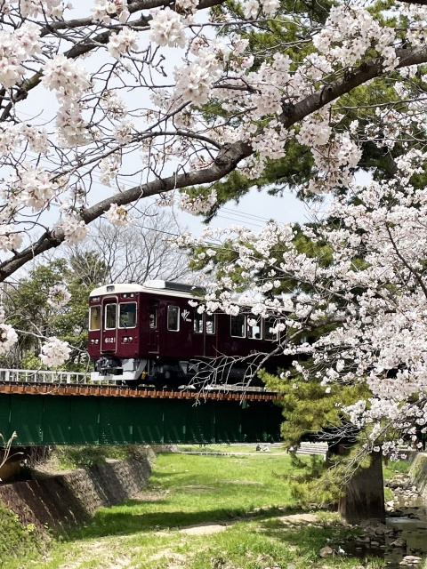 夙川はなぜ人気のエリアなのか？夙川エリアの魅力をご紹介の画像
