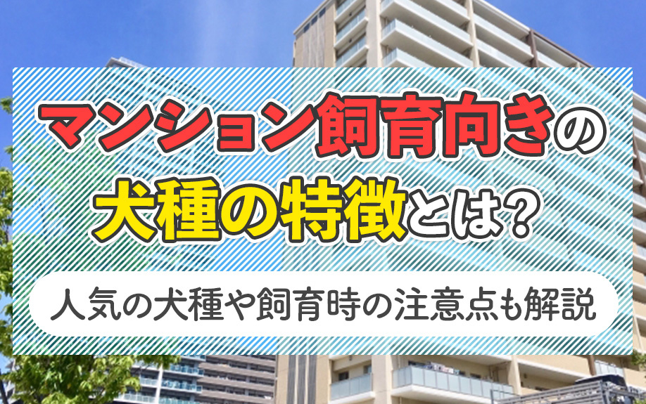 マンション飼育向きの犬種の特徴とは？人気の犬種や飼育時の注意点も解説の画像