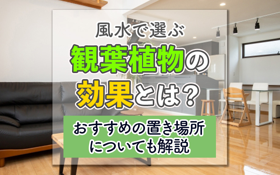 風水で選ぶ観葉植物の効果とは？おすすめの置き場所についても解説
